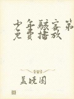 少年骇客第二季免费播放