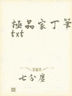 极品家丁笔趣阁txt
