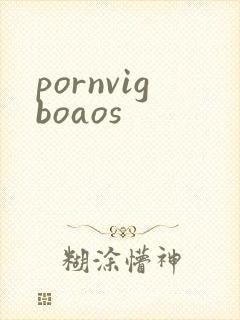 pornvigboaos