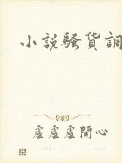 小说骚货调教