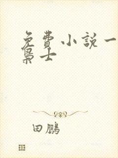 免费小说一寒门枭士