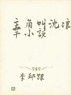 主角叫沈浪徐芊芊小说