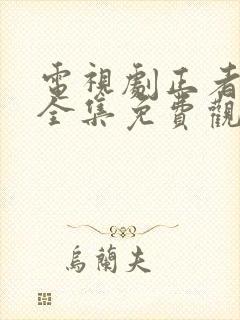 电视剧正者无敌全集免费观看封面