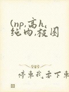 (np,高h,纯肉,校园