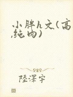 小胖h文(高h,纯肉)