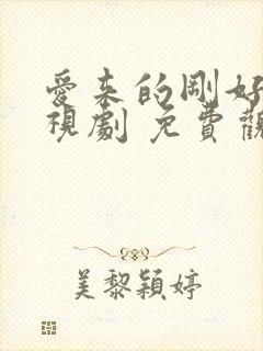 爱来的刚好 电视剧 免费观看
