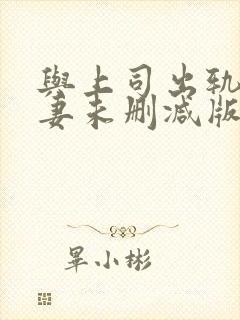 与上司出轨的人妻未删减版