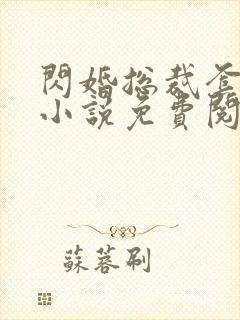 闪婚总裁套路深小说免费阅读