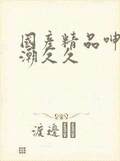 国产精品呻吟高潮久久