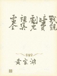 电视剧暗战风云全集免费观看