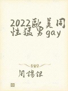 2022欧美同性猛男gay封面