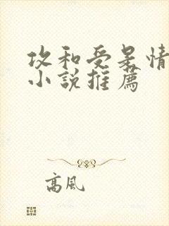 攻和受是情敌的小说推荐