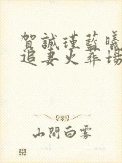 贺诚瑾蓝曦男主追妻火葬场封面