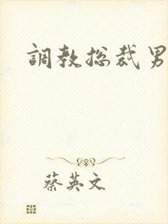 调教总裁男男