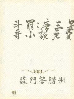 斗罗:唐三是我哥小说免费阅读