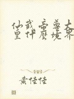 仙武帝尊大楚九皇什么境界