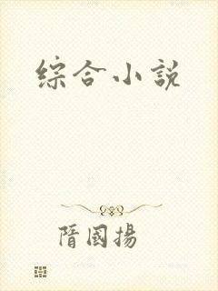 综合小说封面