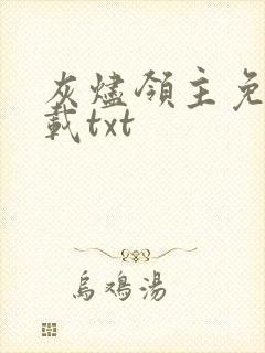 灰烬领主免费下载txt封面