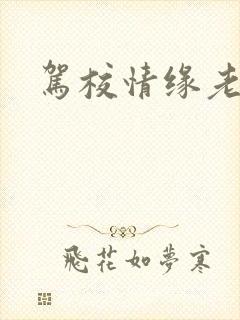 驾校情缘老赵封面
