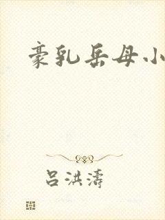 豪乳岳母小说