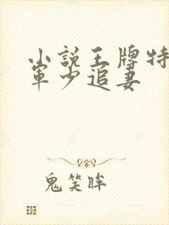 小说王牌特战之军少追妻