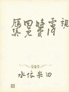 雁回时电视剧全集免费19