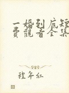 一婚到底短剧免费观看全集高清