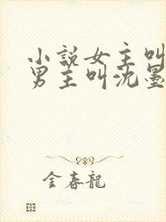 小说女主叫苏桃男主叫沈墨尘