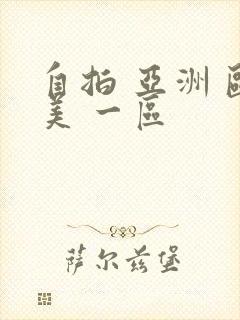 自拍 亚洲 欧美 一区