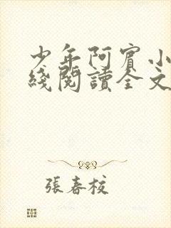 少年阿宾小说在线阅读全文无删减