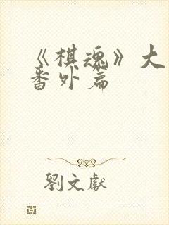 《棋魂》大结局番外篇