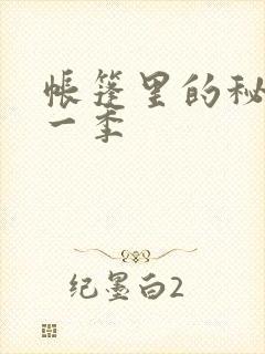 帐篷里的秘密第一季