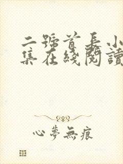 二号首长小说全集在线阅读