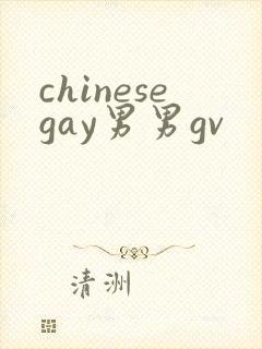 chinesegay男男gv
