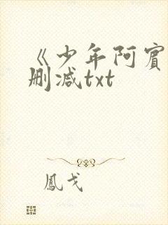 《少年阿宾》无删减txt
