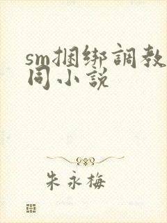 sm捆绑调教女同小说封面