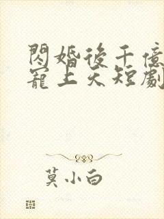 闪婚后千亿老公宠上天短剧12封面