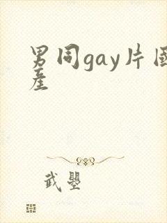 男同gay片国产封面