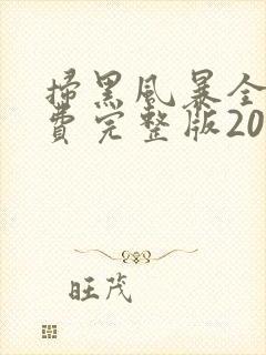 扫黑风暴全集免费完整版2021封面