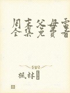 周末父母电视剧全集免费看剧情
