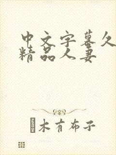 中文字幕久久久精品人妻
