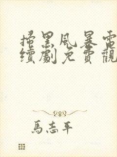扫黑风暴电视连续剧免费观看全集