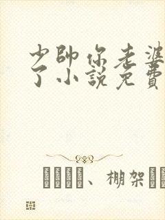 少帅你老婆又跑了小说免费看封面