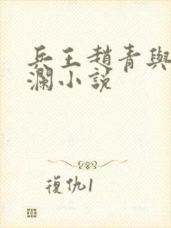 兵王赵青与林安澜小说封面