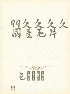 99久久久久久国产毛片封面
