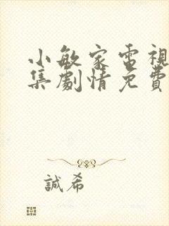 小敏家电视剧全集剧情免费观看