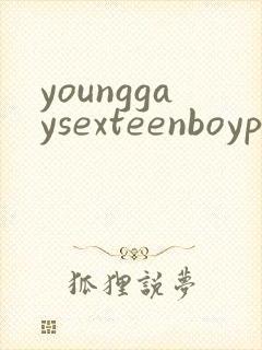 younggaysexteenboypornvideo