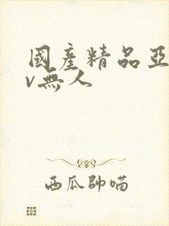 国产精品亚洲av无人