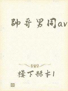 帅哥男同av