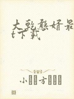 大乾憨婿最txt下载